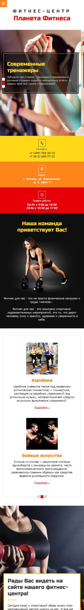Мобильная версия дизайна № 61255
