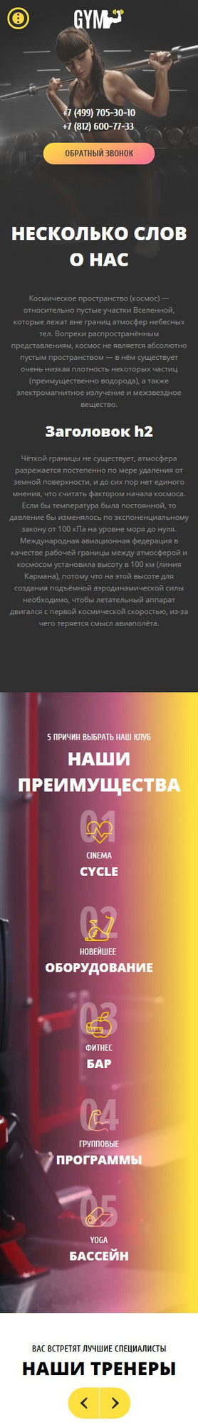 Мобильная версия дизайна № 61731