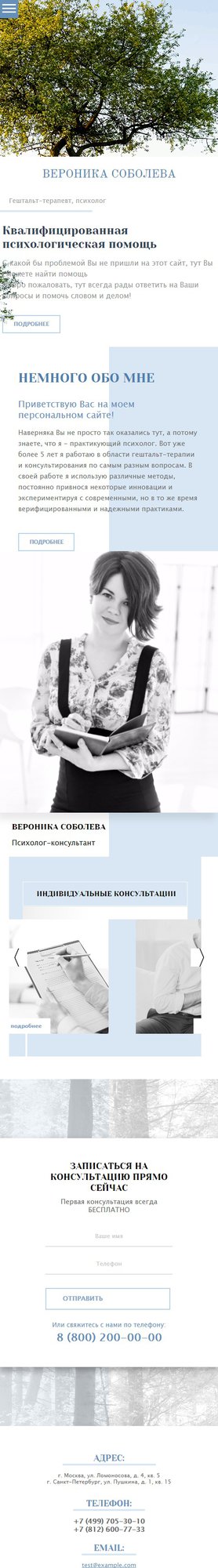 Мобильная версия дизайна № 62430