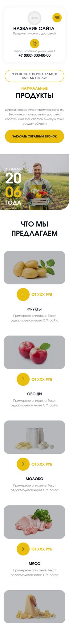 Мобильная версия дизайна № 104298