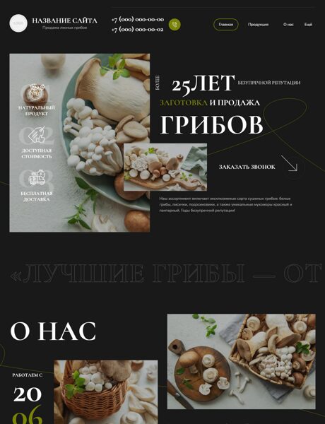 Готовый Сайт-Бизнес № 8923326 - Продажа лесных грибов (Превью)