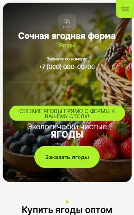 Мобильная версия дизайна № 107180