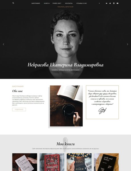 Готовый Сайт-Бизнес № 2275922 - Писатель, журналист, творческая специальность (Превью)