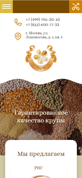 Мобильная версия дизайна № 64478