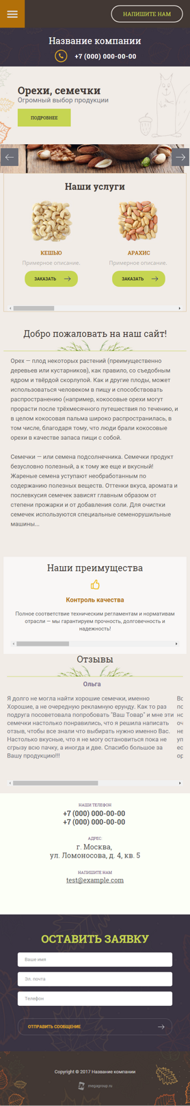 Мобильная версия дизайна № 66926