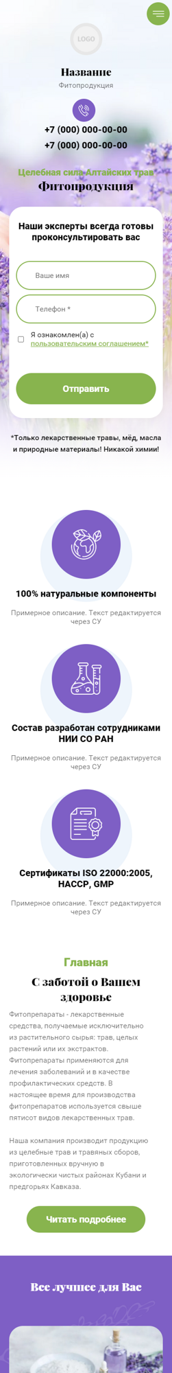 Мобильная версия дизайна № 86050