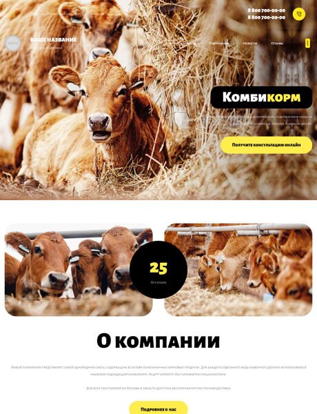 Готовый Сайт-Бизнес № 4443194 - Корма и продукты для животных (Превью)