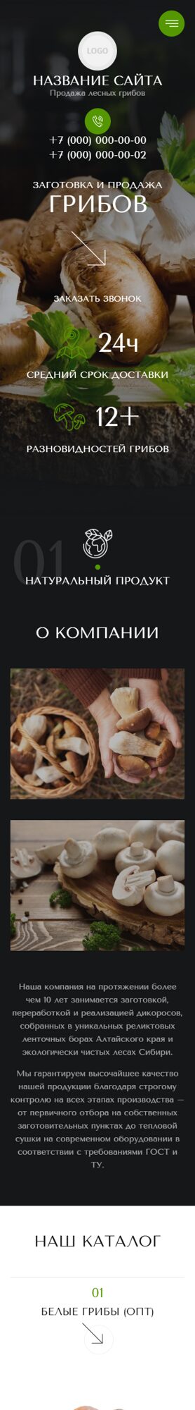Мобильная версия дизайна № 101159